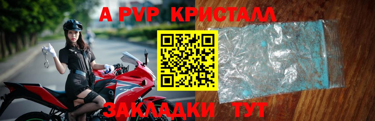 A-PVP СК КРИС Сосновоборск